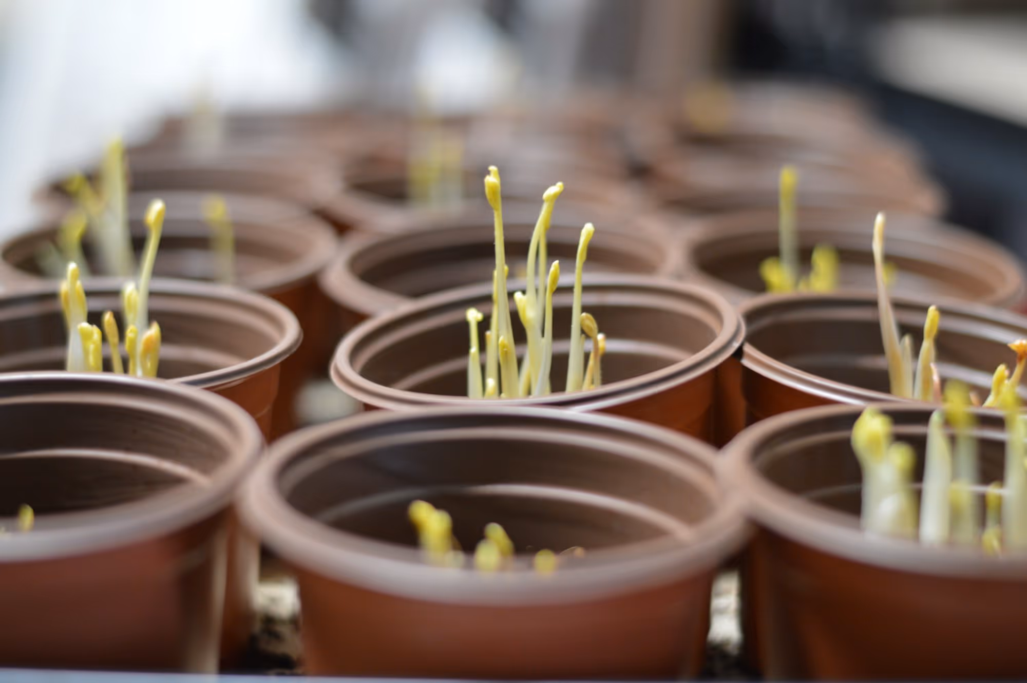 How Long Should Beginners Meditate?